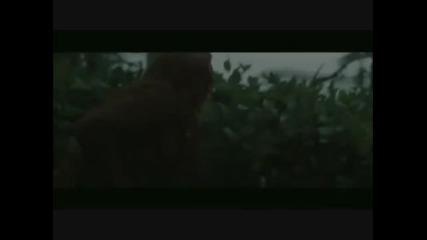 Twilight за конкурса на fergieb 