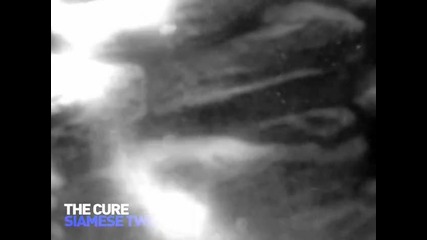 The Cure - Siamese Twins