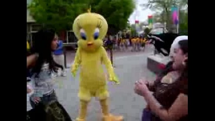 Dance Wit Tweety And Sylvester