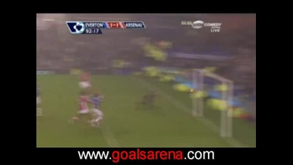Everton - Arsenal 1:1 Robin Van Persies Amazing Goal