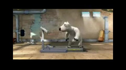 мечка във фитнес - забавно