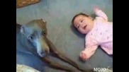 Куче и дете плачат 