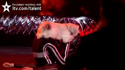 Великобритания търси Талант - Ашли и Пъдси - Невероятно изпълнение 2012 Final