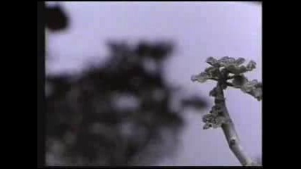 Mana - No Ha Parado De Llover