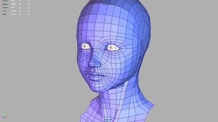 Human Head Modeling