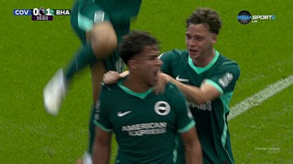 Goal by Brighton and Hove Albion