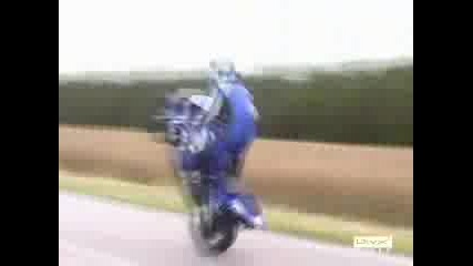 Yamaha R1 2001 Standing Wheelie + Crash