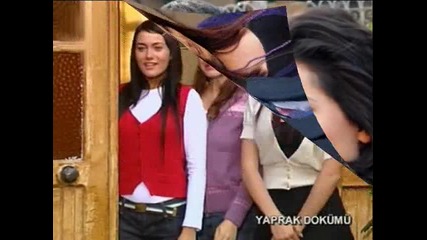 листопад 