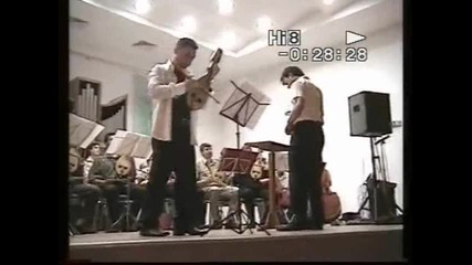 mravcho i ork na amtii - horo