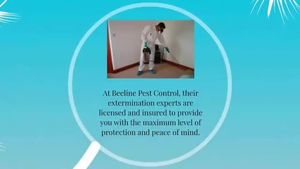 Pest Control Companies Littleton, Co