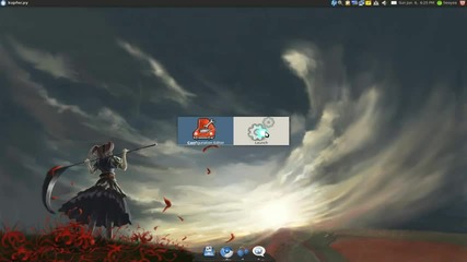 Auto Hide - Avant Windows Navigator Dock - Ubuntu 10.04 