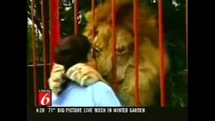 Lion Attack - Ataque de leao