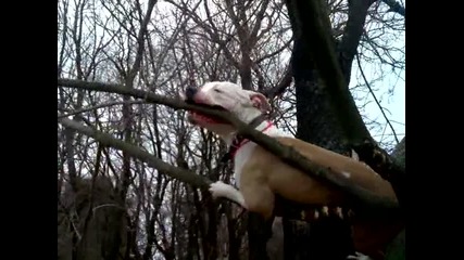 Ares