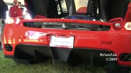Ferrari Enzo Revving 