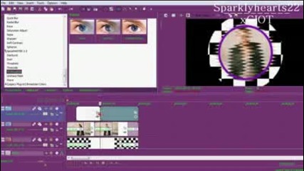 Sony Vegas #1