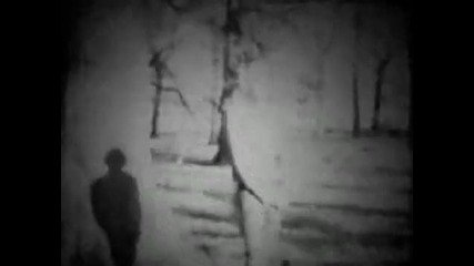 Patrick Wolf - To the Lighthouse 