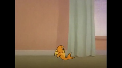 Tom & Jerry - Jerry And The Goldfish