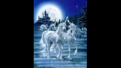 horses