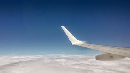 fly