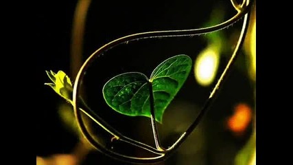 Yiruma -love Me