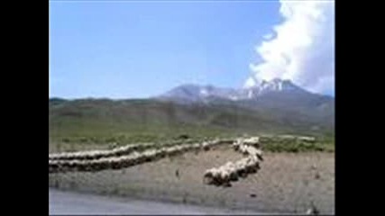 hipodil