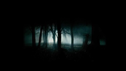 3rd and The Mortal - Shaman