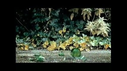 Delerium - Underwater 