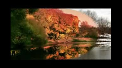 Nat King cole - Love is a Many Splendored Thing