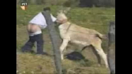 Смях колкото щтеш