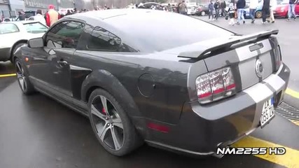 Ford Mustang Gt V8 Loud Revs