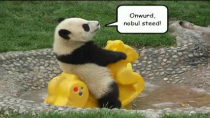 Забавни животни 
