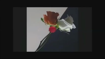 Sarah Britghtman & Andrea Bocheli - Любовта е опиат [hd]