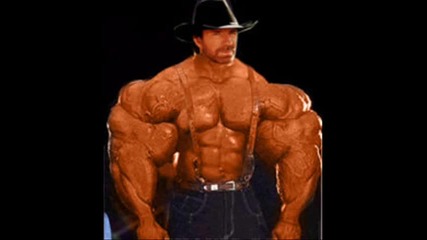 huzkey - chuck norris 