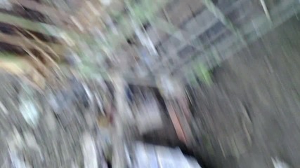 pegaq