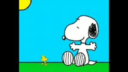 Snoopy Video