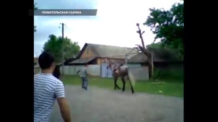 Конете усещат новаците