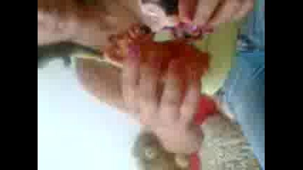 Alf I Mike Maus :d:d:d