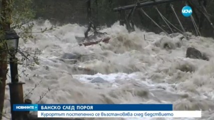 Новините на NOVA (10.11.2016 - обедна емисия)