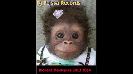 Kucheka Maimunka 2013 2014 Кучека Маимунка 2014 dj petq avasa