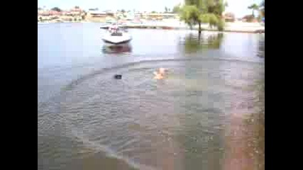 Kamikadze . . :d:d