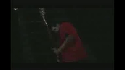 Los Lonely Boys - Senorita