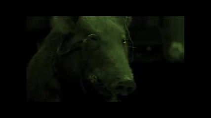 Pink Floyd - Animals - Pigs (part 2) 1977