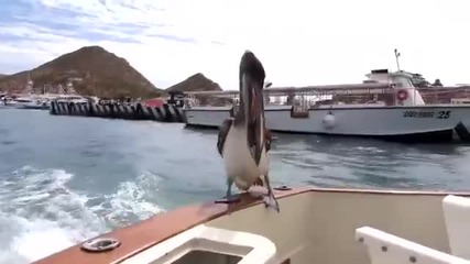 Epic Fail_win Compilation May 2014! (best of Fails _ Wins)