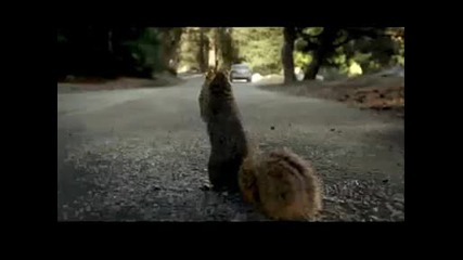 Bridgestone Scream Super Bowl Ad