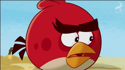 Angry Birds Toons: Hypno Pigs