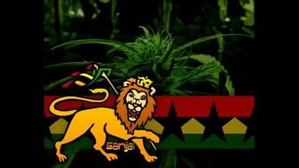 Kingsize - Samota 