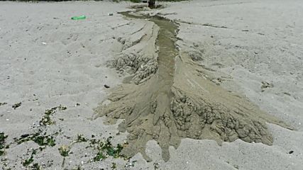 Рекичка в пясъка на брега на морето