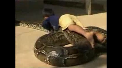 Snake Boy Hugs Kisses And Sleeps With Giant Python