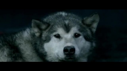 James Morrison - Please Don't Stop The Rain