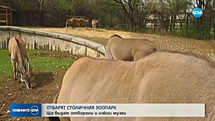 Отварят зоопарка в София